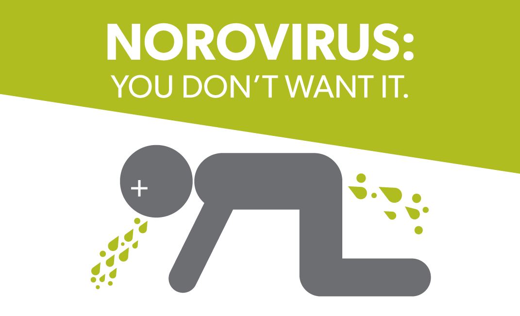 norovirus, bayactionnews.com, gulf coast news
