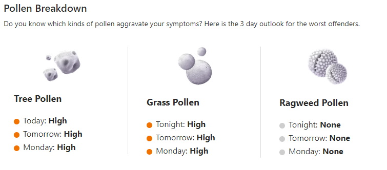 Pollen count extremely high in Citrus County